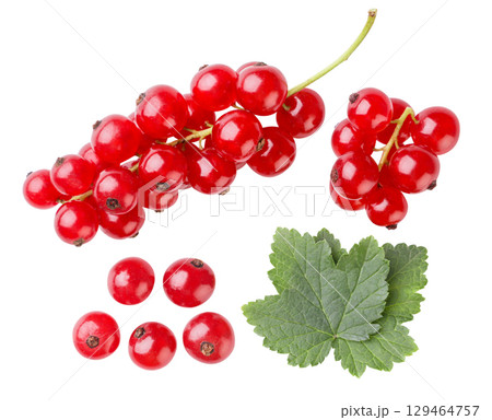Set of red currants and leaves on a white background. Top view 129464757
