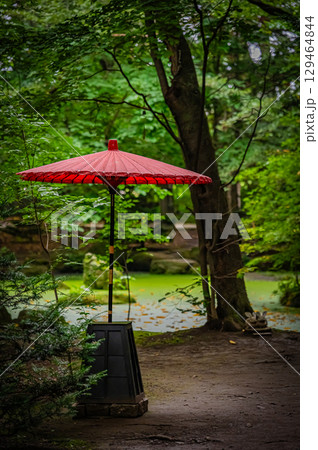 北海道　帯廣神社の風景 129464844