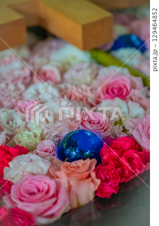 北海道 帯廣神社の風景 北海道 帯廣神社の風景 129464852