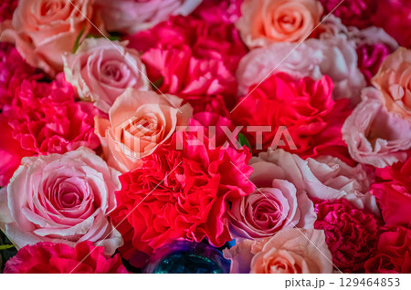 北海道　帯廣神社の風景 129464853