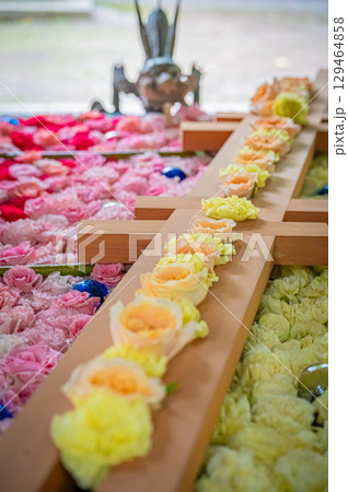 北海道 帯廣神社の風景 北海道 帯廣神社の風景 129464858