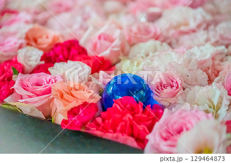 北海道　帯廣神社の風景 129464873