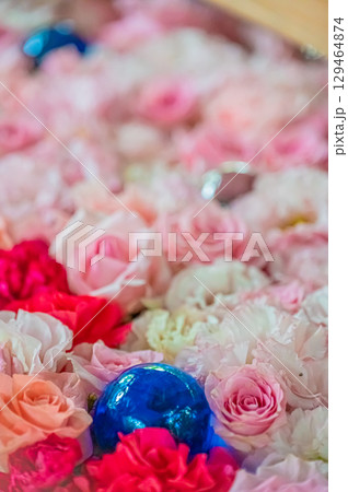 北海道　帯廣神社の風景 129464874