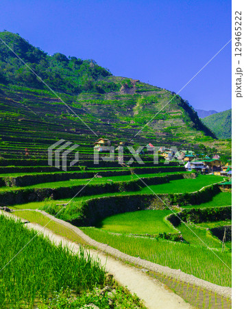 フィリピンのバナウェ フィリピンのバナウェ 129465222