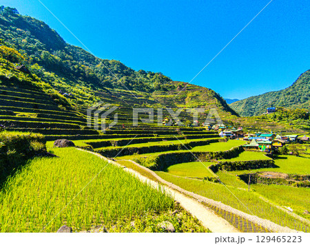 フィリピンのバナウェ 129465223