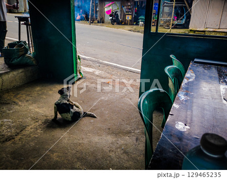 フィリピンのバナウェ 129465235