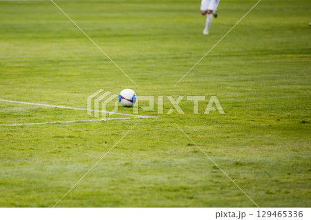 Ball on the grass of a football stadium Ball on the grass of a football stadium 129465336