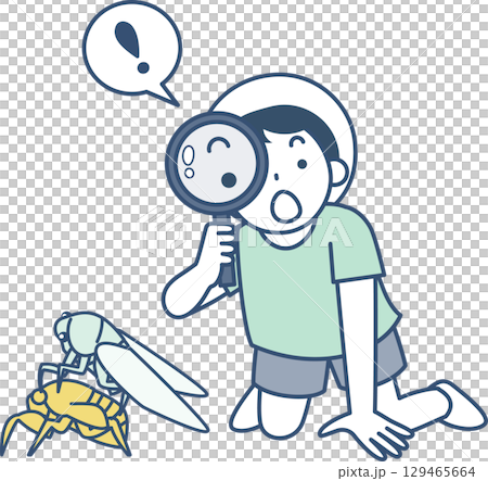 A boy observing the emergence of a cicada with a magnifying glass 129465664
