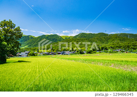 マキノ町の田園風景　滋賀県高島市 129466345