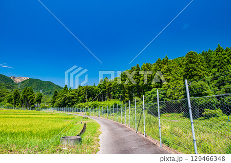 マキノ町の田園風景 滋賀県高島市 マキノ町の田園風景 滋賀県高島市 129466348