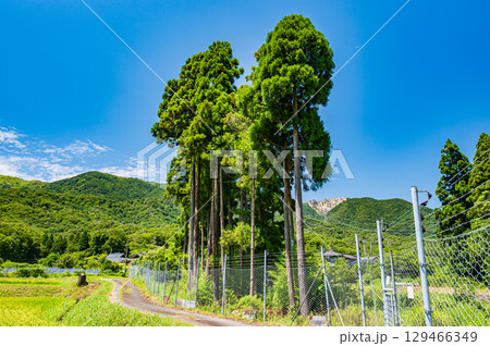 マキノ町の田園風景 滋賀県高島市 マキノ町の田園風景 滋賀県高島市 129466349
