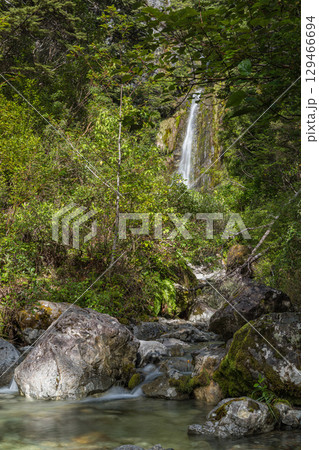 ニュージーランド　アーサーズ・パス国立公園のアヴァランチ・クリーク・ウォーターフォール 129466694