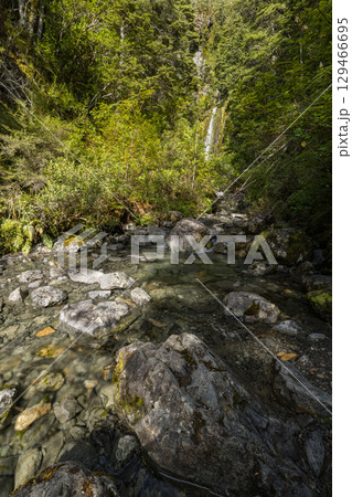 ニュージーランド　アーサーズ・パス国立公園のアヴァランチ・クリーク・ウォーターフォール 129466695