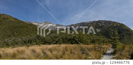 ニュージーランド　アーサーズ・パス国立公園のビーリー・バレー・トラックから見えるロールストン山 129466776