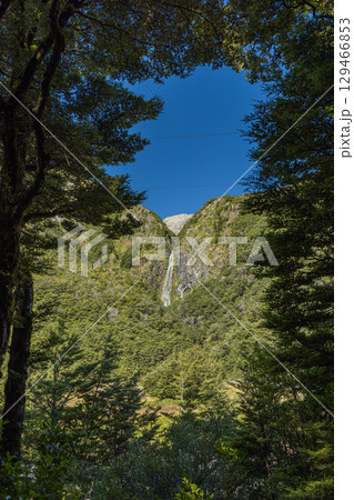 ニュージーランド　アーサーズ・パス国立公園のデビルズ・パンチボウル・ウォーターフォール 129466853