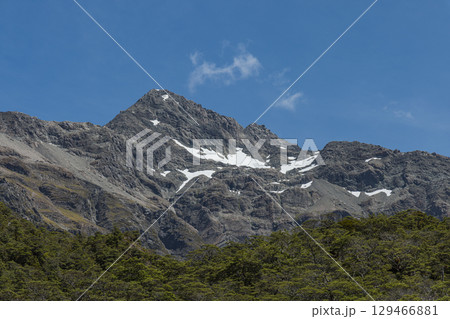 ニュージーランド　アーサーズ・パス国立公園のビーリー・バレー・トラックから見えるロールストン山 129466881