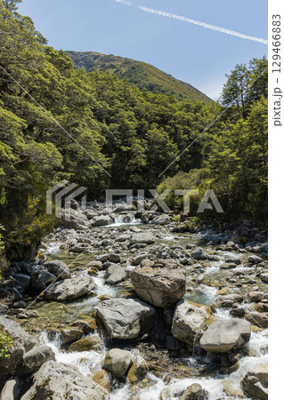 ニュージーランド　アーサーズ・パス国立公園のドブソン・ネイチャー・ウォークを流れるビーリー川 129466883