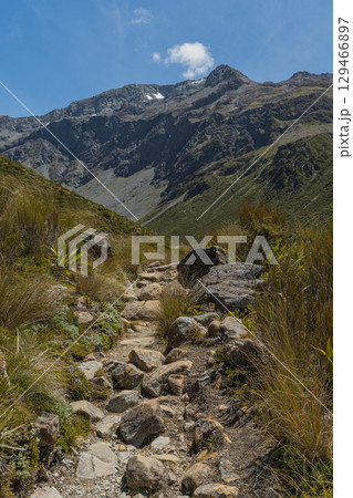 ニュージーランド　アーサーズ・パス国立公園のオティラ・バレー・トラックからの風景 129466897