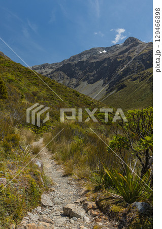 ニュージーランド アーサーズ・パス国立公園のオティラ・バレー・トラックからの風景 ニュージーランド アーサーズ・パス国立公園のオティラ・バレー・トラックからの風景 129466898