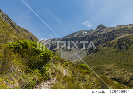 ニュージーランド　アーサーズ・パス国立公園のオティラ・バレー・トラックからの風景 129466904