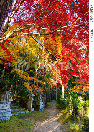 紅葉の護法堂弁財天 129466952
