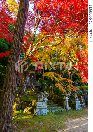 紅葉の護法堂弁財天 紅葉の護法堂弁財天 129466953