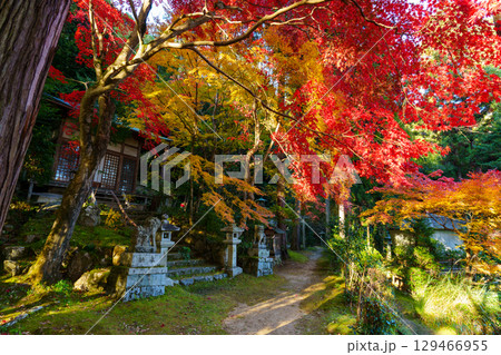 紅葉の護法堂弁財天 129466955
