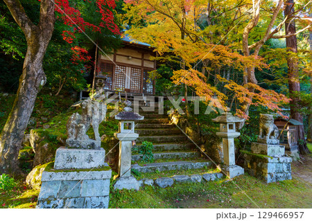 紅葉の護法堂弁財天 紅葉の護法堂弁財天 129466957