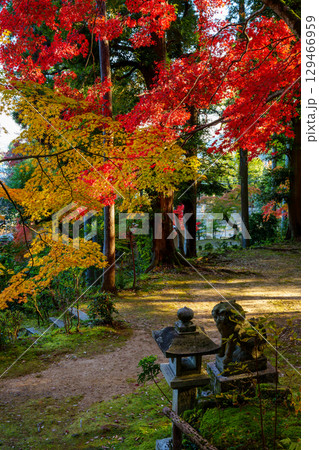 紅葉の護法堂弁財天 129466959