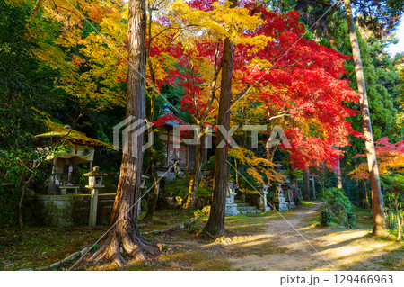 紅葉の護法堂弁財天 129466963