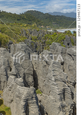 ニュージーランド ウェスト・コーストのプナカイキにあるパンケーキ・ロックスの風景 ニュージーランド ウェスト・コーストのプナカイキにあるパンケーキ・ロックスの風景 129467113