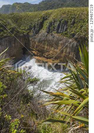 ニュージーランド ウェスト・コーストのプナカイキにあるパンケーキ・ロックスのサージ・プール ニュージーランド ウェスト・コーストのプナカイキにあるパンケーキ・ロックスのサージ・プール 129467119