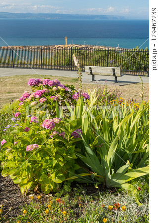 ニュージーランド ホークスベイ地方のネイピアにあるブラフ・ヒル・ルックアウトの植物園 ニュージーランド ホークスベイ地方のネイピアにあるブラフ・ヒル・ルックアウトの植物園 129467239