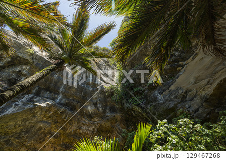 ニュージーランド ウェスト・コースト地方のプナカイキにある洞窟手前の風景 ニュージーランド ウェスト・コースト地方のプナカイキにある洞窟手前の風景 129467268