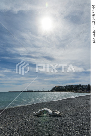 ニュージーランド　ホークスベイ地方、ネイピアのアフリリにあるパーフューム・ポイントのビーチ風景 129467444