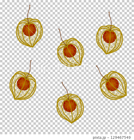 細月的插圖 細月的插圖 129467549