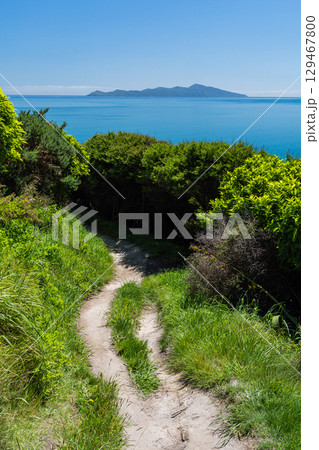 ニュージーランド　パエカカリキ・エスカープメント・トラックから見えるカピティ島 129467800