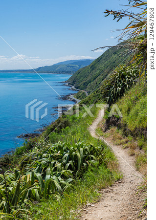 ニュージーランド　パエカカリキ・エスカープメント・トラックから見える風景とタスマン海 129467808