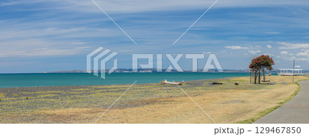 ニュージーランド ホークスベイ地方のネイピア・ビーチの風景 ニュージーランド ホークスベイ地方のネイピア・ビーチの風景 129467850