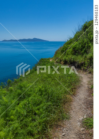 ニュージーランド　パエカカリキ・エスカープメント・トラックから見えるカピティ島 129468183