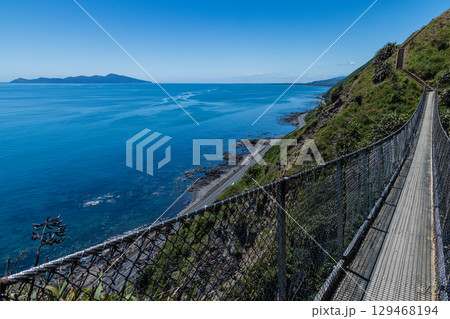 ニュージーランド パエカカリキ・エスカープメント・トラックに架かる吊り橋とカピティ島 ニュージーランド パエカカリキ・エスカープメント・トラックに架かる吊り橋とカピティ島 129468194
