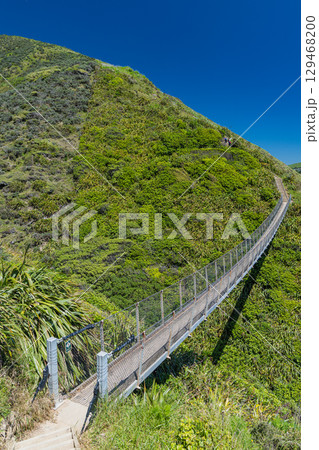 ニュージーランド　パエカカリキ・エスカープメント・トラックに架かる吊り橋 129468200