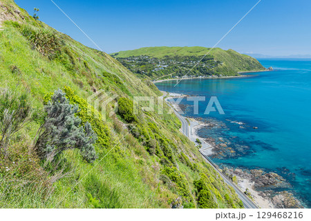 ニュージーランド パエカカリキ・エスカープメント・トラックから見える風景とタスマン海 ニュージーランド パエカカリキ・エスカープメント・トラックから見える風景とタスマン海 129468216