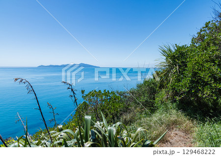ニュージーランド　パエカカリキ・エスカープメント・トラックから見えるカピティ島 129468222