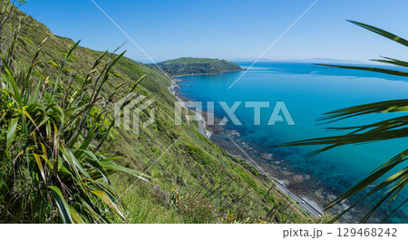 ニュージーランド パエカカリキ・エスカープメント・トラックから見える風景とタスマン海 ニュージーランド パエカカリキ・エスカープメント・トラックから見える風景とタスマン海 129468242