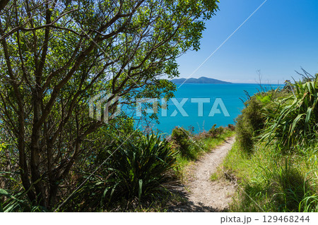 ニュージーランド　パエカカリキ・エスカープメント・トラックから見えるカピティ島 129468244