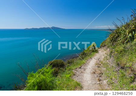ニュージーランド パエカカリキ・エスカープメント・トラックから見えるカピティ島 ニュージーランド パエカカリキ・エスカープメント・トラックから見えるカピティ島 129468250