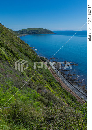 ニュージーランド　パエカカリキ・エスカープメント・トラックから見える風景とタスマン海 129468259