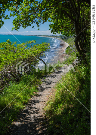 ニュージーランド パエカカリキ・エスカープメント・トラックから見える風景とタスマン海 ニュージーランド パエカカリキ・エスカープメント・トラックから見える風景とタスマン海 129468268