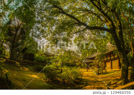 哲学堂(東京都中野区) 哲学堂(東京都中野区) 129468350